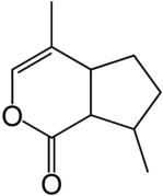 Structural formula of nepetalactone
